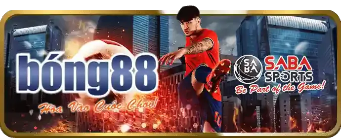 Cá cược bóng đá m8win casino
