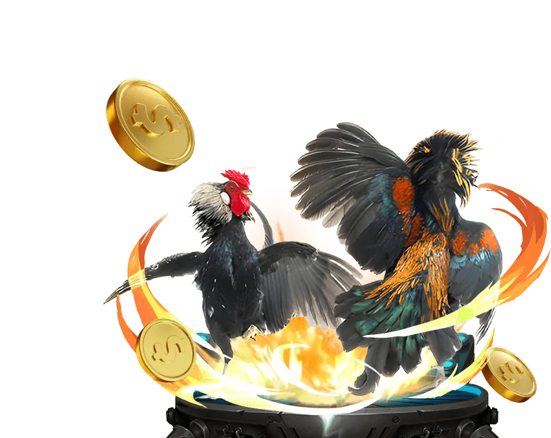 Sân đấu đá gà chuyên nghiệp tại m8win casino